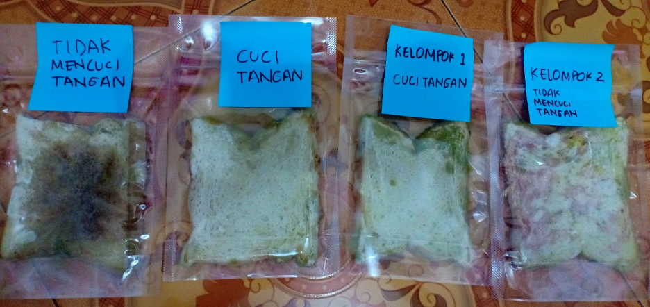 eksperimen roti basi, sains anak usia dini, kebersihan anak, mencuci sebelum makan